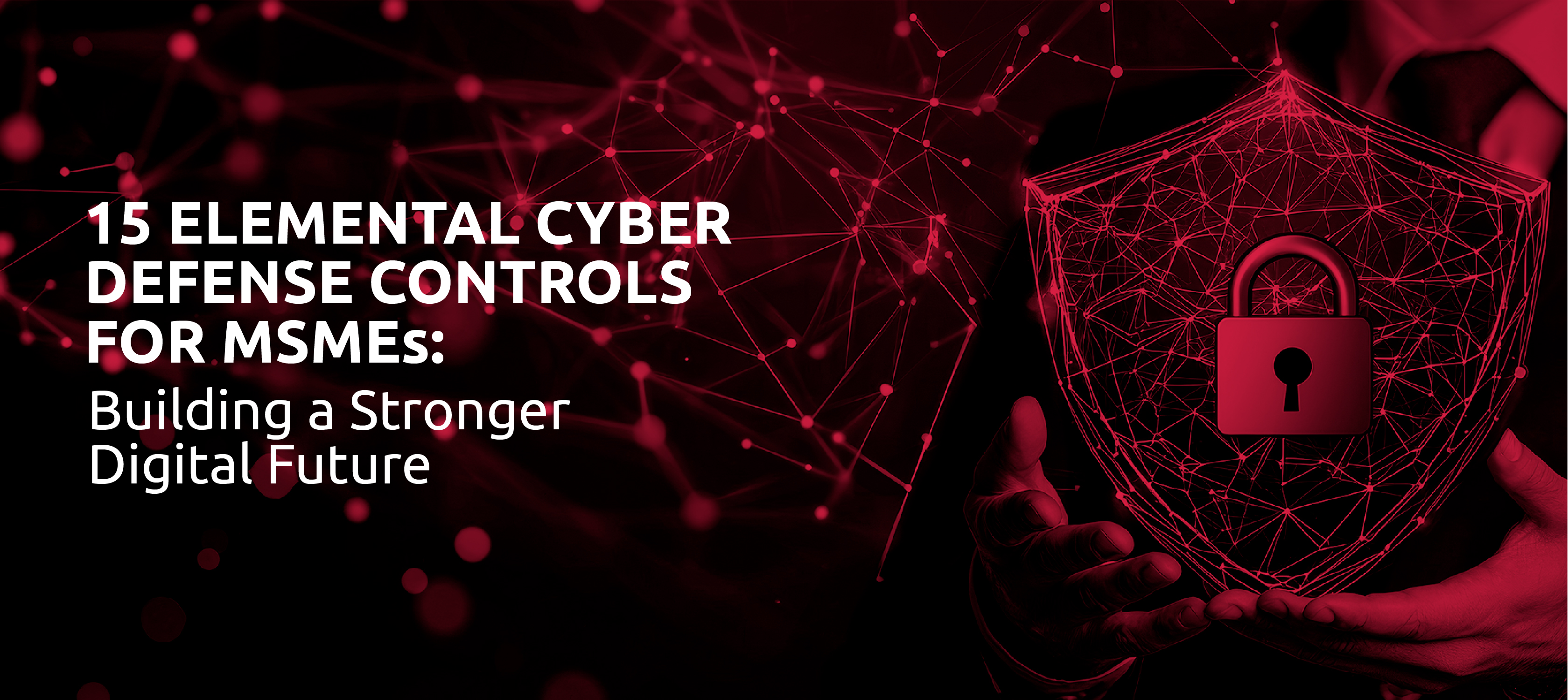 15 Elemental Cyber Defense Controls for MSMEs:  Building a Stronger Digital Future